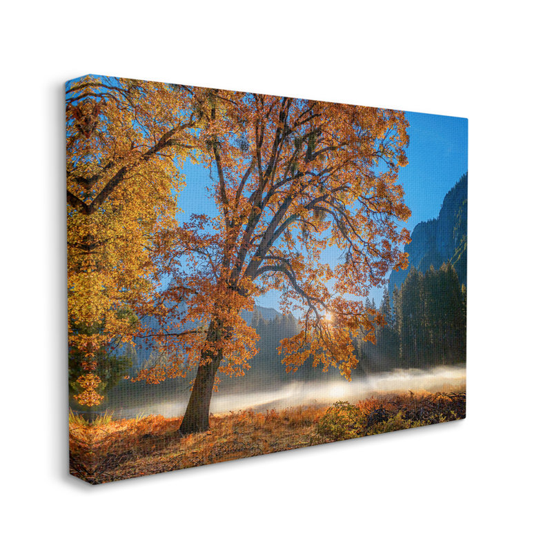 Picture Frame Photograph on MDF, Wrapped Canvas, 48" W x 36" H