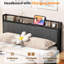 Structure de lit plateforme double en métal-1462067995