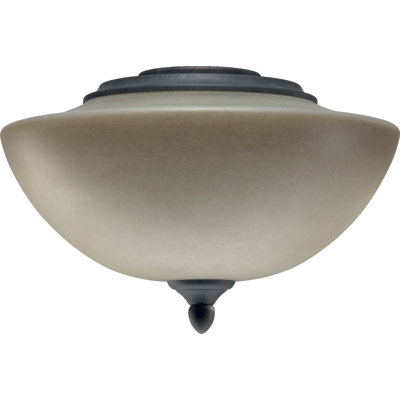 Ventilateur de plafond avec luminaire bol 2 lumières
