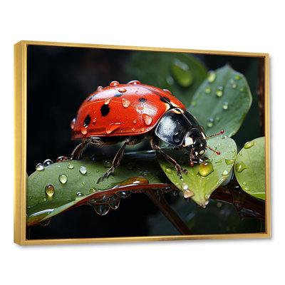" Curious Ladybug Crimson Serenity II "
