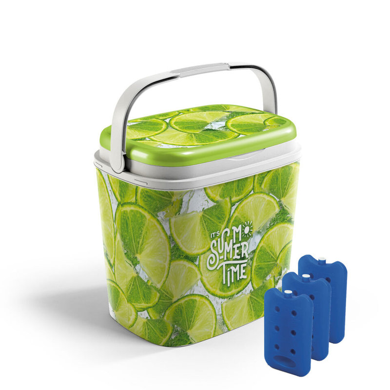 Shaniqua Brambly Cottage 28.5306L Ice Chest in Lime