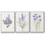 Ensemble de 3 cadres flottants sur toile-97754222-97754217