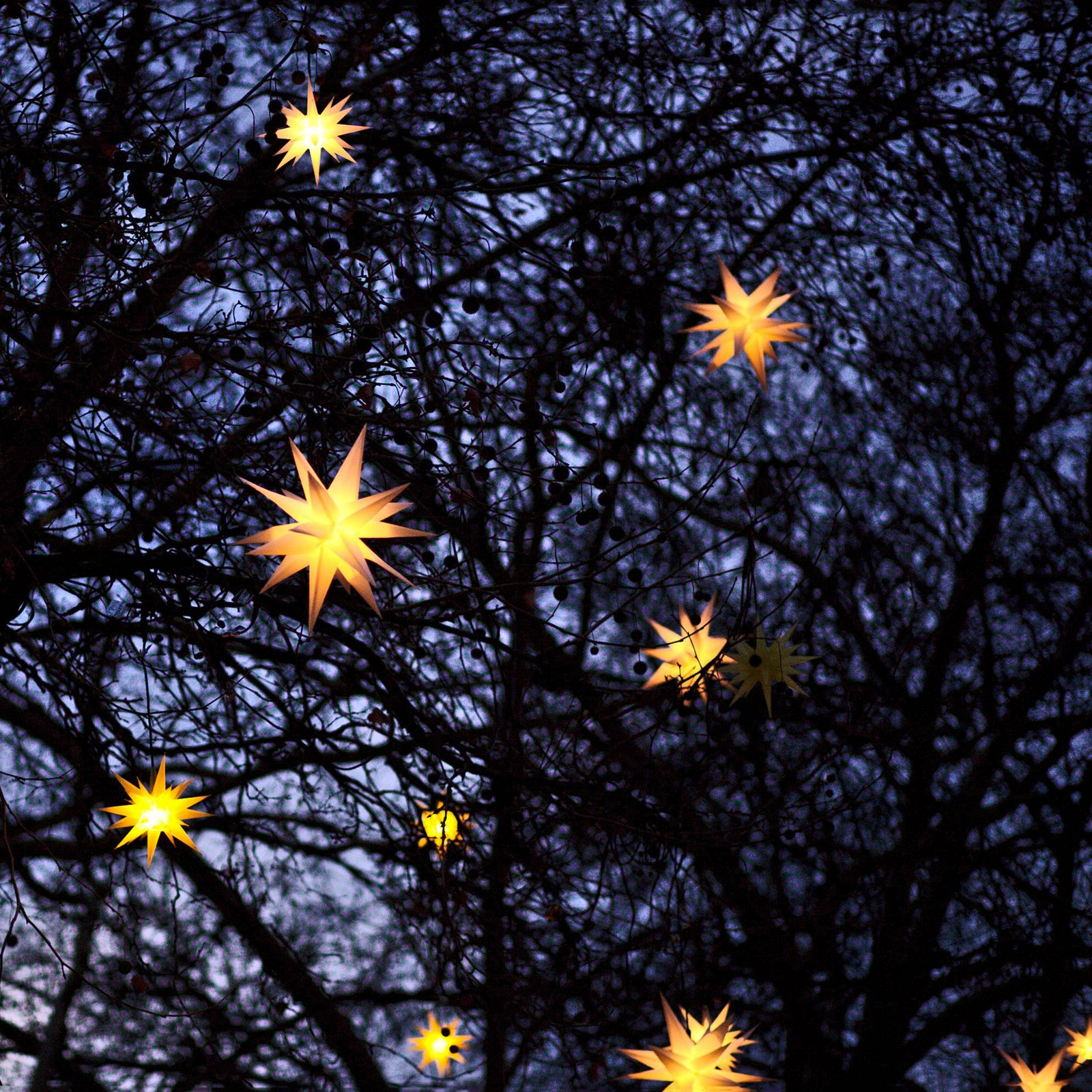 12" White LED Moravian Star Light