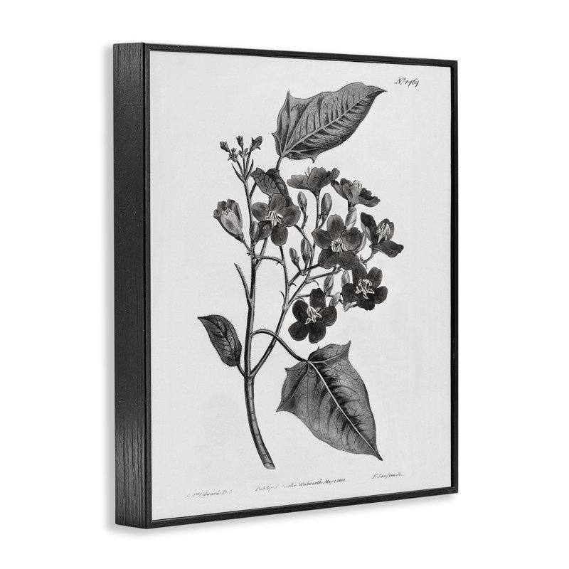 Étude de giclée encadrée, conception par Kelly Donovan, H 14 po x l 11 po, Giclée encadrée noir minuit