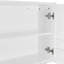 Needville Wall Bathroom Cabinet