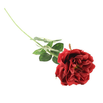 Duchess-De-Brabant Roses Stems