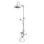 Système de douche thermostatique 48 po Exposed-132934594