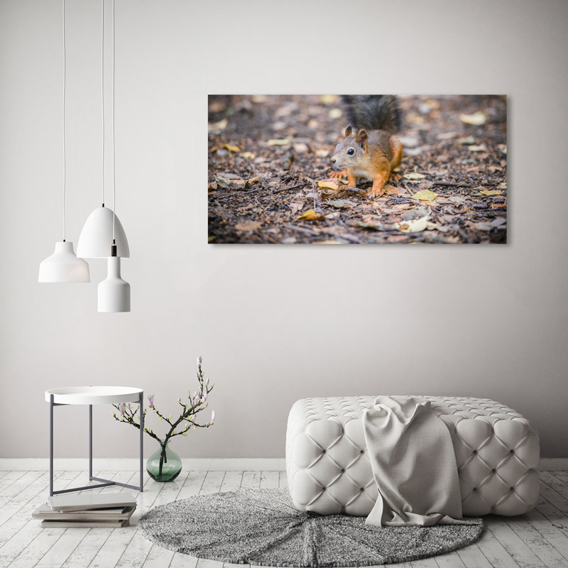 Squirrel - Wrapped Canvas Print