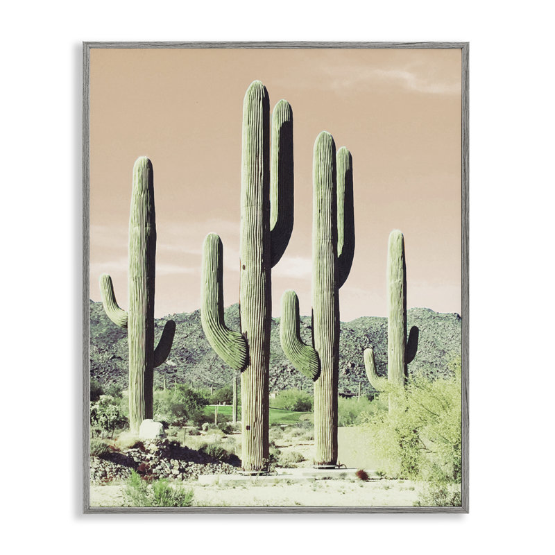 Scène de cactus au lever du soleil, estampe numérique encadrée par Susan Bryant bh-885, Estampe numérique Farmhouse