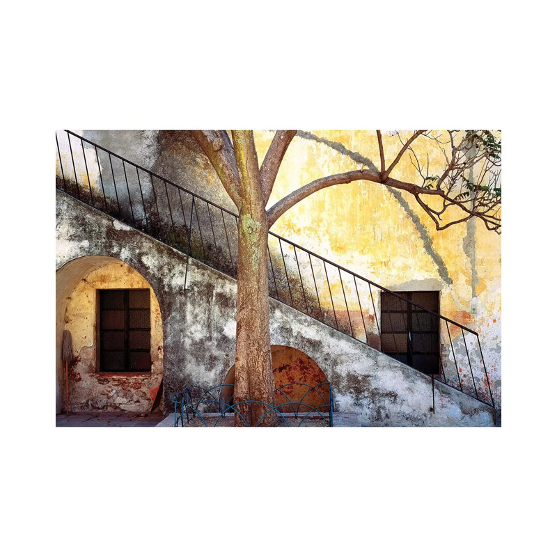 Mexico, Queretaro. Tree And Weathered Stairway. by Jaynes Gallery - Wrapped Canvas Print, 66.04 cm H x 45.72 cm W x 1.91 cm D