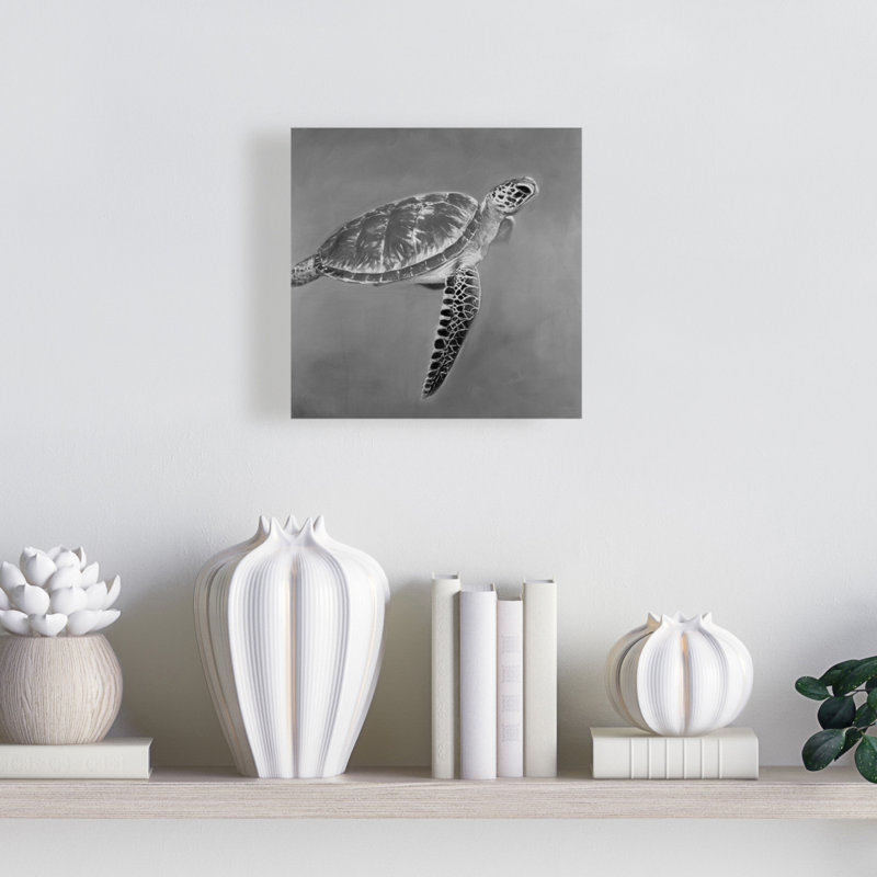 Grayscale Aquatic Turtle Canvas | Exotic Home Decor Art