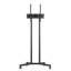 Chariot de télévision mobile à roulettes, support roulant réglable en hauteur pour écrans de 32 à 65 pouces, supporte jusqu'à 40 kg, compatible avec différentes tailles, en acier au carbone noir, idéal pour l'extérieur et plusieurs pièces.
