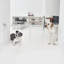 Clear Wall Mounted Low Zig Zag Pet Gate with Latch-411335331-411104789