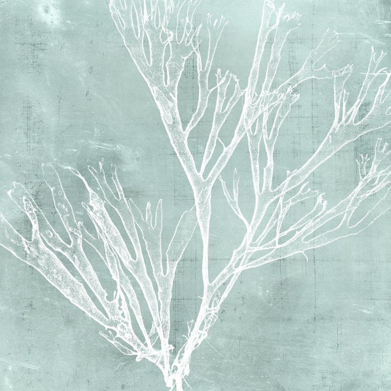 Seaweed On Aqua VII - Wrapped Canvas Painting, 30cm H x 30cm W x 3.8cm D