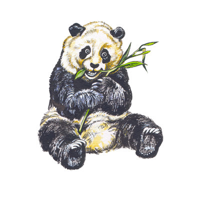 Panda by Tombaky - Wrapped Canvas Print