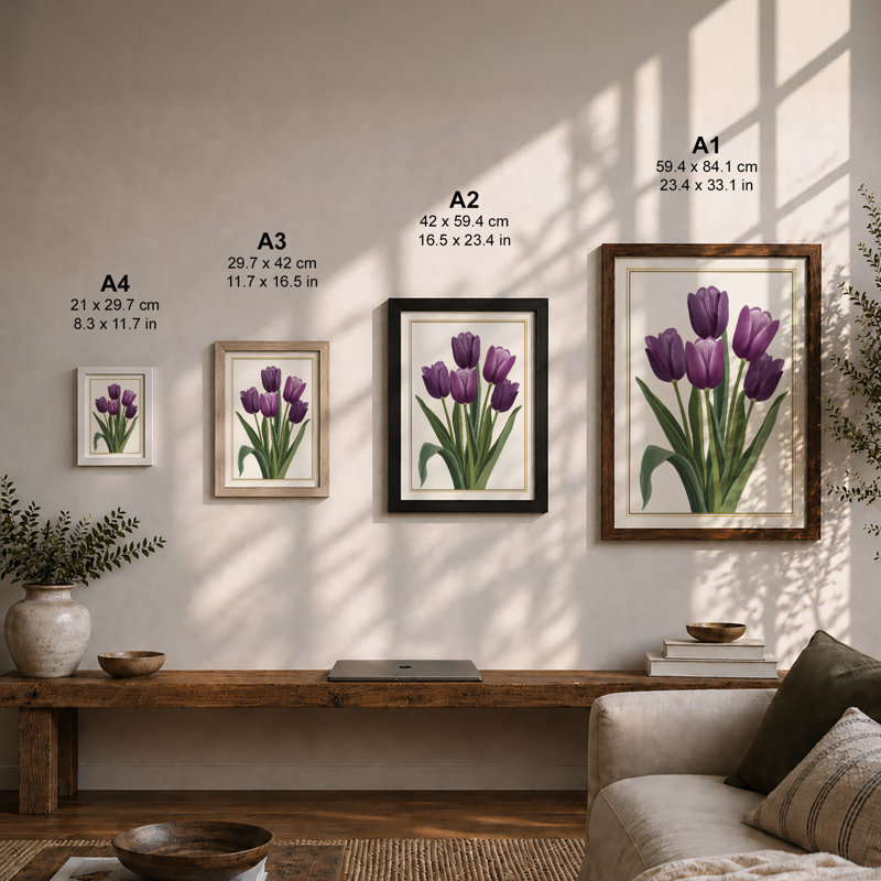 Violet Tulip Study Botanical - Framed Print, Walnut, A1 - 84.1 x 59.4 cm