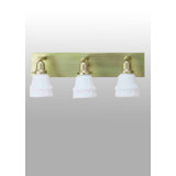 Schoolhouse & Early Electric 3 - Light Vanity Light