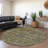 Premium Machine Washable Cerrito AMF574 Paprika Rug-104099954