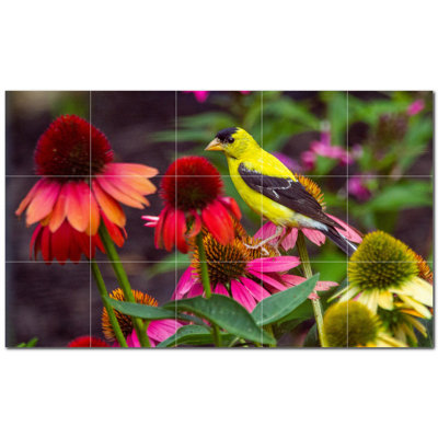 Bird Photo 8'' x 8'' Satin Ceramic Decorative Mural