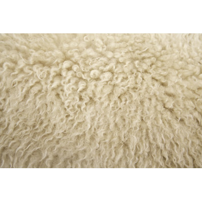 Wool by Davidhills - Wrapped Canvas Print
