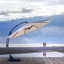 Parasol en porte-à-faux octogonal Kimolos-540260398-540260396