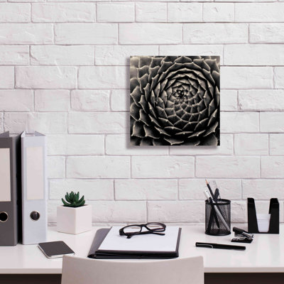 «Succulent On Canvas» par Gary Horsfall, reproduction