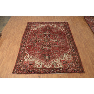 Vegetable Dye Traditional Area Rug 10x13