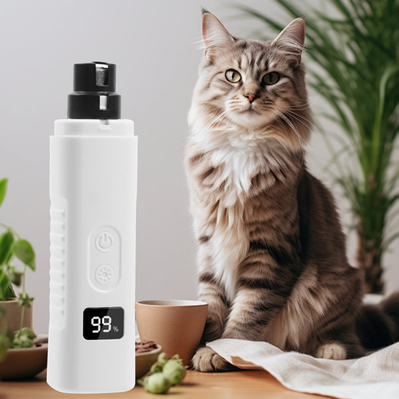 Tondeuse pour chien rechargeable