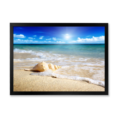 Grand coquillage dans le sable II - photographie sur toile