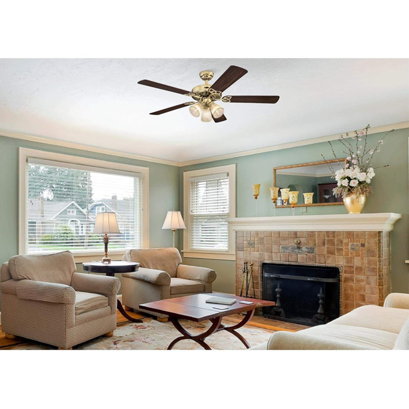 20'' Boho Rattan Ceiling Fan With Light, Coastal Caged Ceiling F...