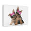 Drôle de Yorkshire Terrier-1599896713