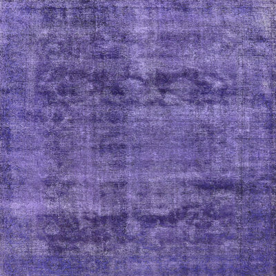 Indoor Rug