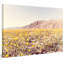 Morgan J Hartley - Wrapped Canvas Print-19836356