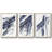 " Directionality I " 3 - Pieces-97794985-97794986
