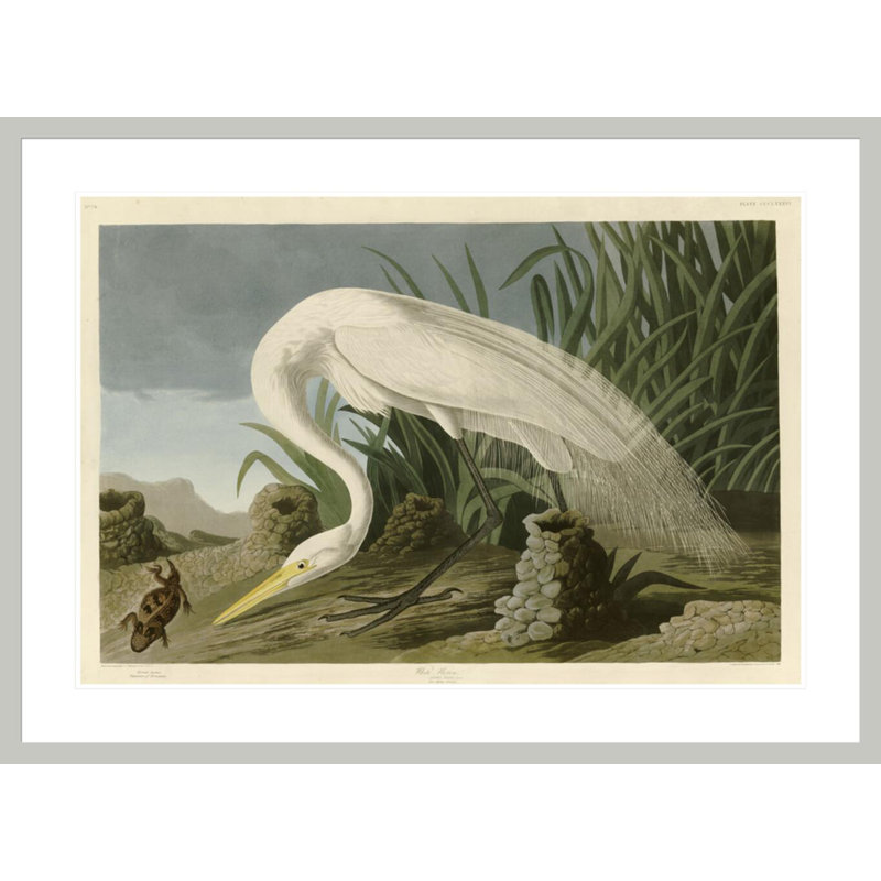 «White Heron» par John James Audubon, impression giclée sur cadre, 30,48 po H x 41,5 po L