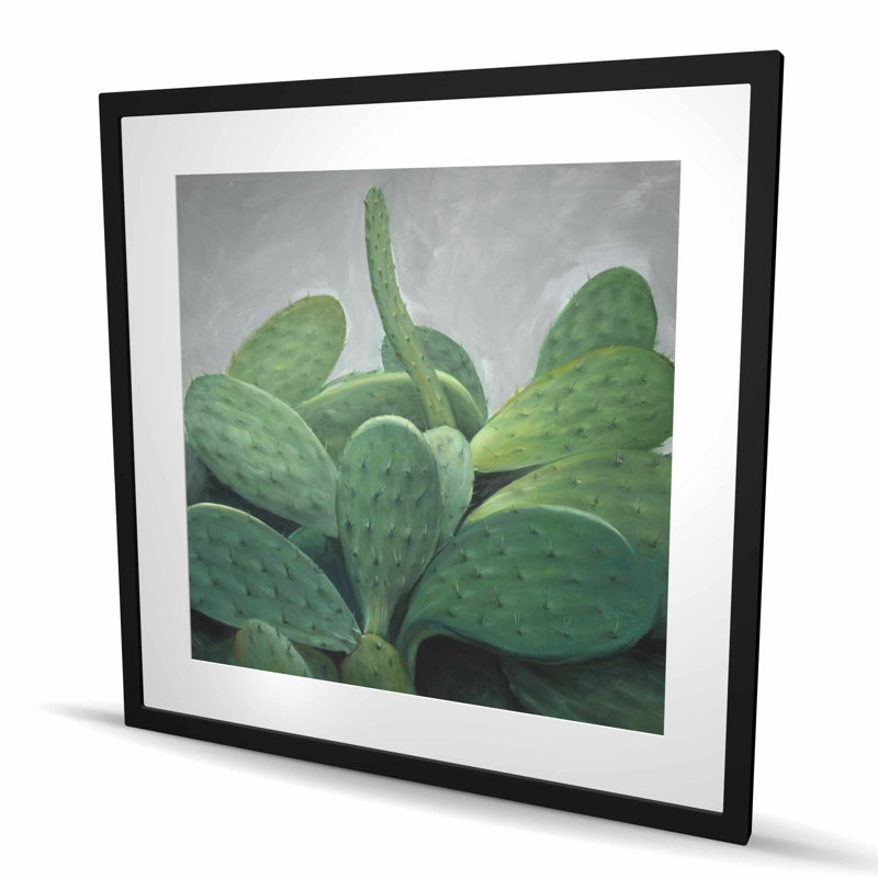 Ensemble de cactus - reproduction botanique encadrée mate pour la décoration, H 36 po x l 36 po, Noir