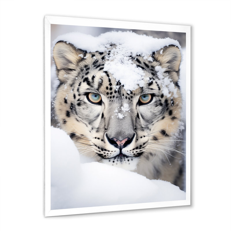 Tigre blanc en hiver I - impression, Cadre photo blanc, H 40 po x l 30 po x P 1,5 po