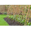 Piquet de jardin en treillis naturel-20302243