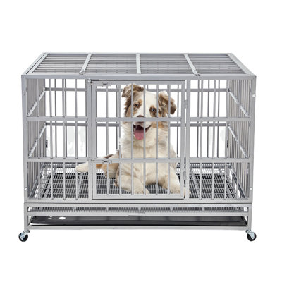 48 Inch Heavy Duty Indestructible Dog Crate Kennel For Indoor Outdoor Small And Medium Dog,lockable Wheels Two-door Design & Removable Tray Design Ext -  Tucker Murphy Petâ¢, 9B9532B9153E47339B6A2BD352F00246