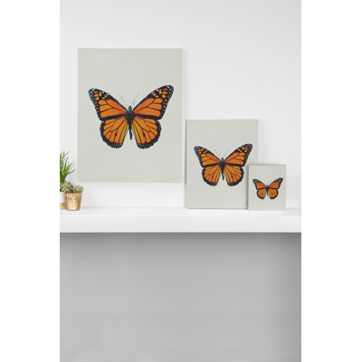 Raphic the grand papillon, art sur toile