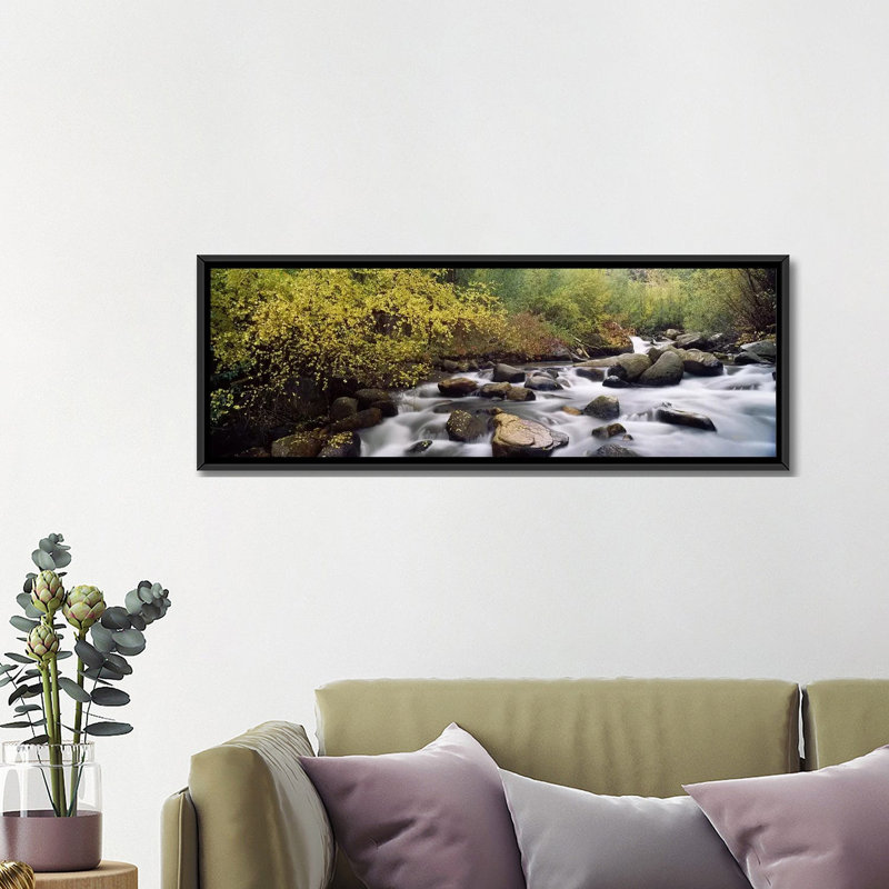 Ponoramic river passant par une forêt, lustre inyo county, californie, reproduction de photo sur toile, Toile avec cadre noir