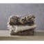 Cozy Tyme Lacie Soft and Quality Fabric Knit Throw 50" x 60"-66167345