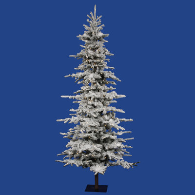 Flocked Georian Fir 90' Lighted Fir Christmas Tree
