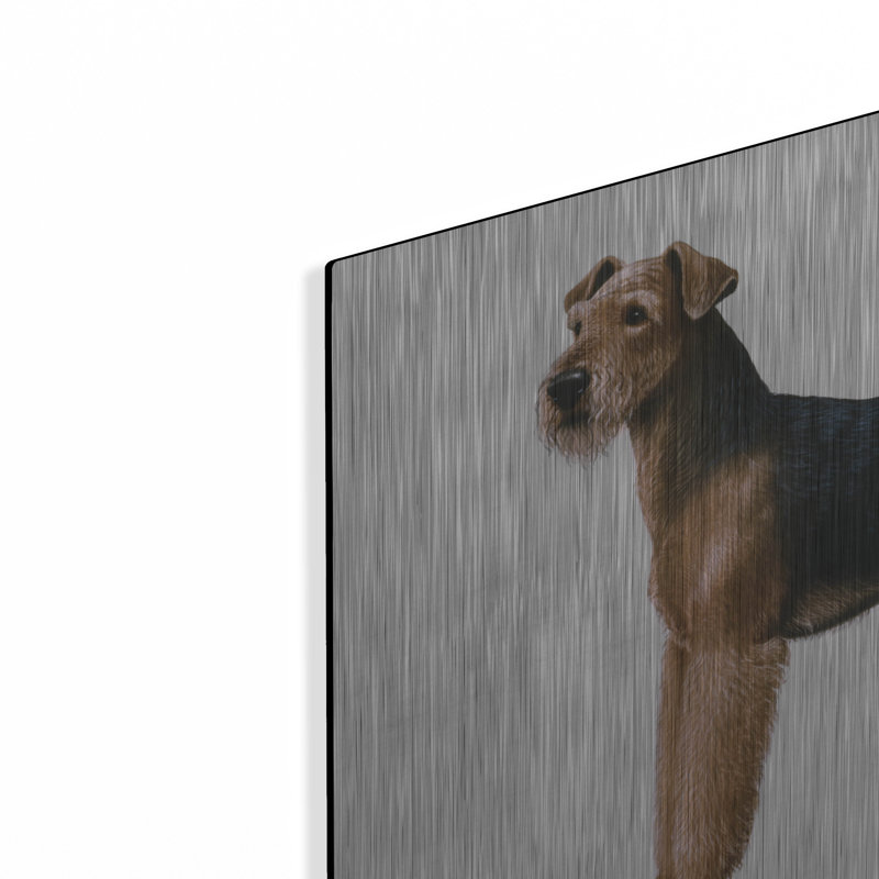 «Airdale Terrier» par Harro Maass, H 12 po x l 16 po