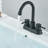 Centerset Faucet Bathroom Faucet with Drain Assembly