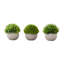 Ensemble de 3 plantes de gazon artificiel en pots - mini verdure artificielle de 5 po pour les tables