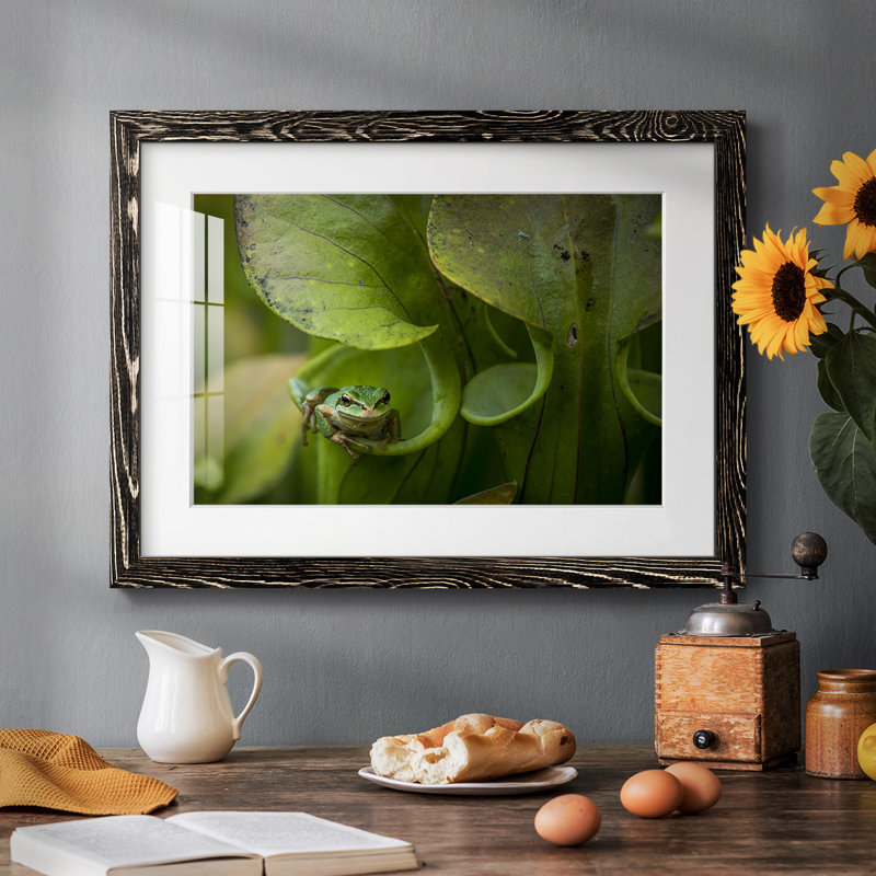 Arboreal Refuge, reproduction d'art sur papier, Noir
