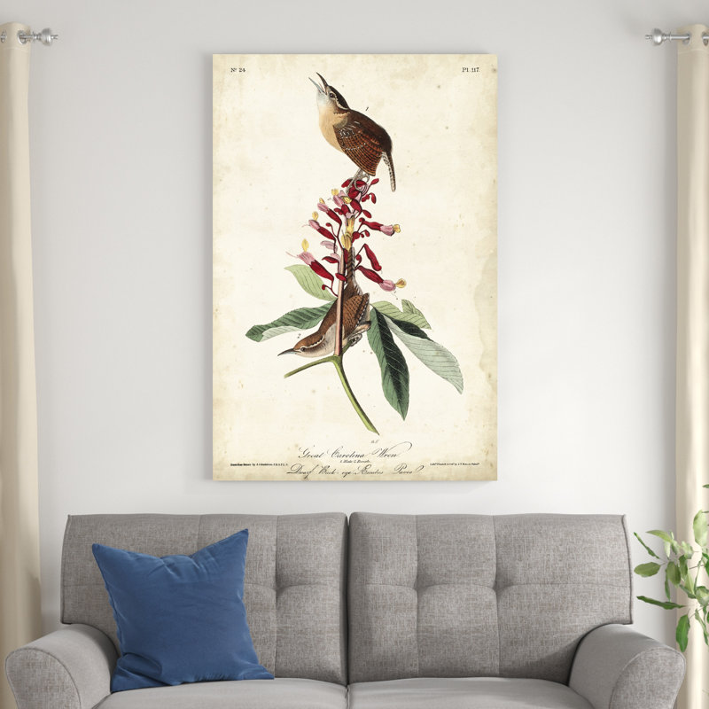 " Great Carolina Wren " by James Audubon Painting Print, 48" H x 32" W x 1.25" D