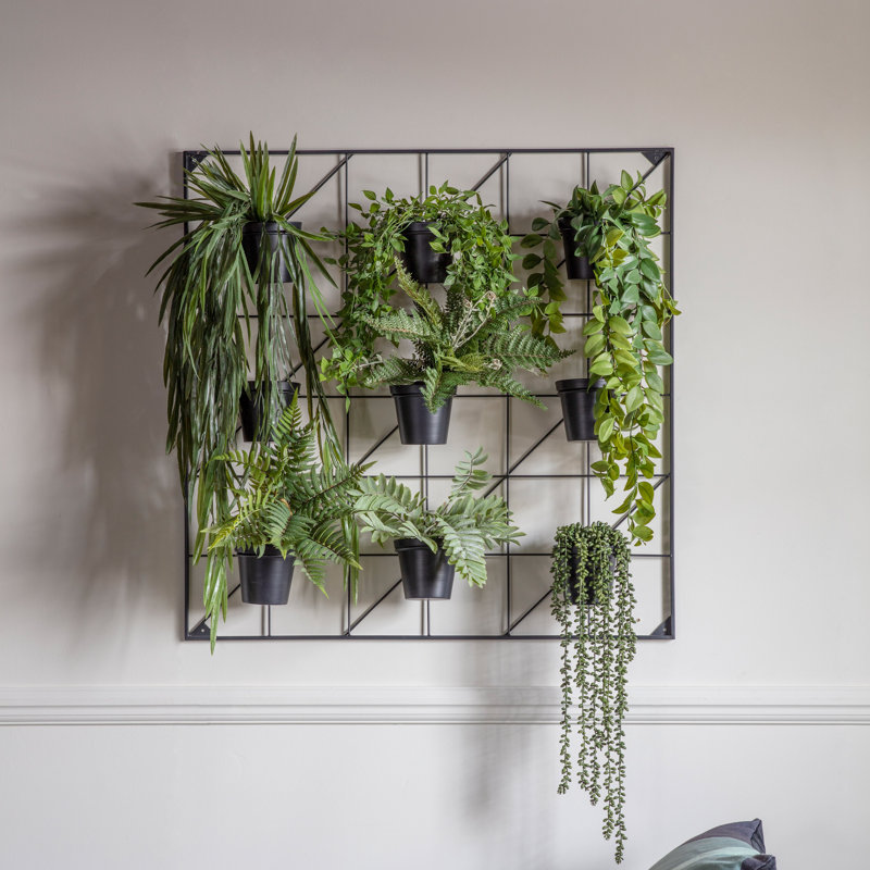 Wall Planter, 90cm H x 90cm W x 14.7cm D, Black
