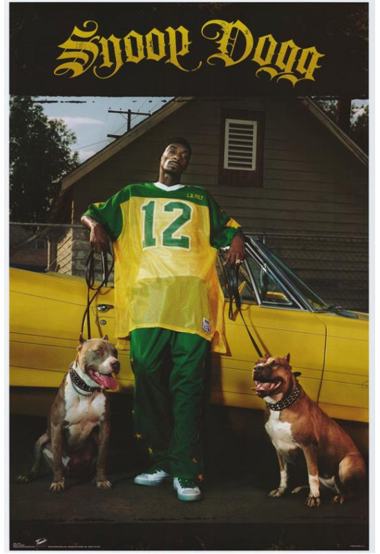 Affiche de film Snoop Dogg (11 X 17) - Article # MOVEF4202